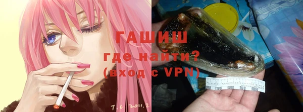 метадон Богданович