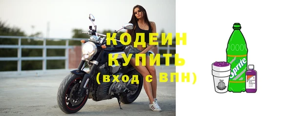 прущие грибы Богородицк