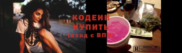 метадон Богданович
