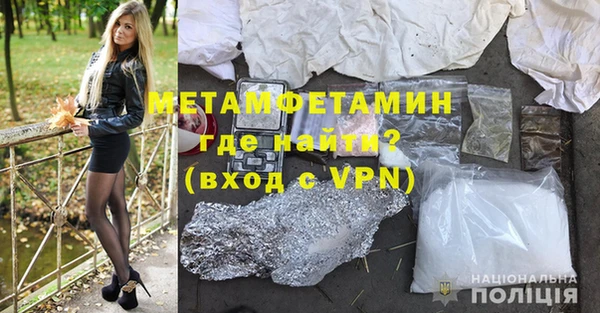 метадон Богданович